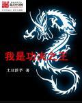 功夫之王解说