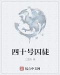 第41号囚犯日本