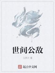 世界公敌是哪个国家