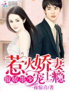 墨少的娇傲前妻