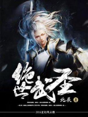 绝世武圣完整版