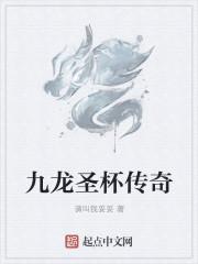 亚瑟王圣杯传奇