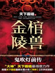 金棺陵兽TXT电子书