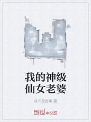 我的神级老婆系统