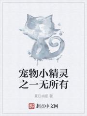 宠物小精灵同人无女主