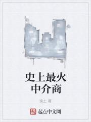 中介实力排名