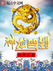 神龙神龙神龙
