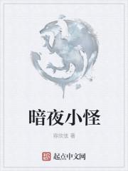 暗夜小精灵自爆