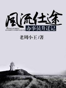 仕途风流扫书