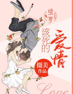 该死的爱情翻译