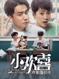 小欢喜电视剧免费观看全集完整版大陆剧追剧网