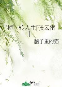 张云雷二人转合集