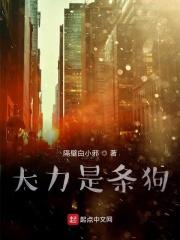 大力哥怎么了