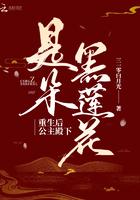 重生后公主变成了黑莲花