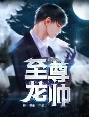 至尊龙帅江川宋丧
