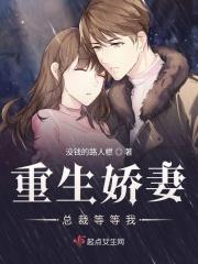 重生总裁娇宠妻