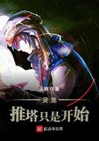 灵笼咋样