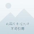 很爱你作文