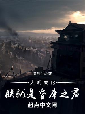 大明风华朕乃永乐大帝