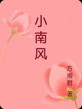小南风公司