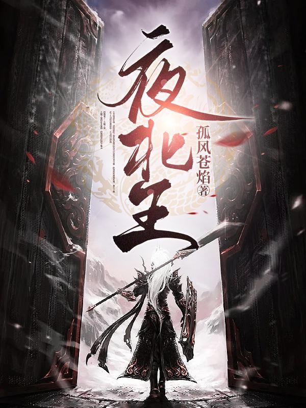 夜北王夜枫