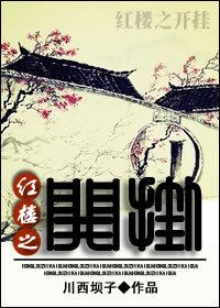 红楼之开局错婚