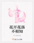 爱你言不由衷林辛言宗景灏