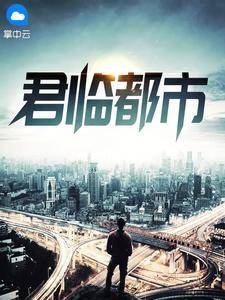 君临都市全人物