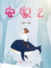 安家2现在开拍了吗