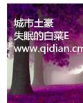 最土豪的城市