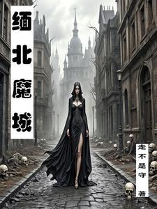 缅北宣传