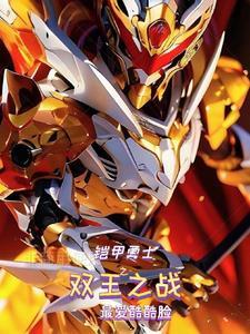 铠甲勇士双人