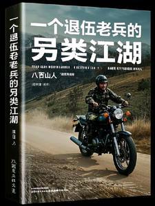 有一个退伍的老兵是什么歌