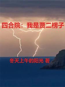 四合院驴肉