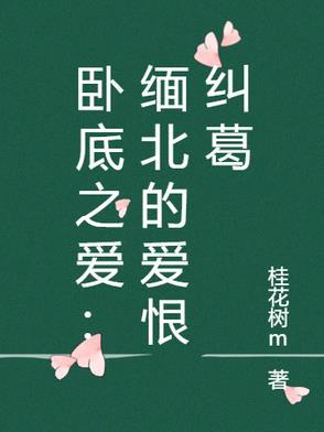 电视剧卧底毒贩