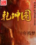 乾坤图图片