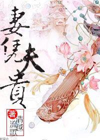 妻凭夫贵星际完整版
