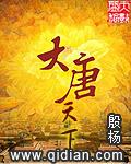 大唐天下张鹏