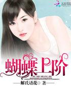 蝴蝶st