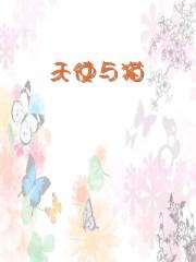 天使猫品种