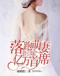 落跑甜妻误惹高冷总裁txt