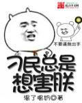 总是有刁民想害朕是什么意思